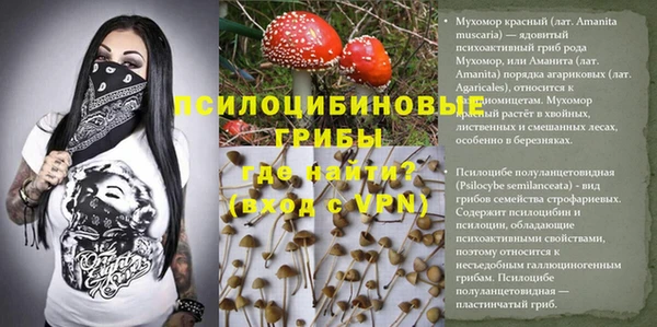 синтетический гашиш Богородск