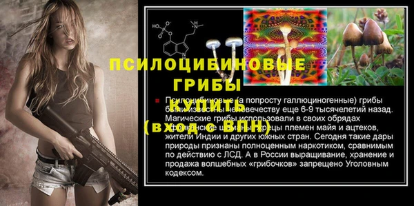 синтетический гашиш Богородск