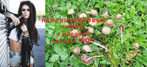 дживик Бронницы